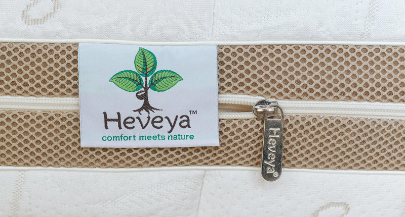 كيفية إزالة عث الغبار من المرتبة