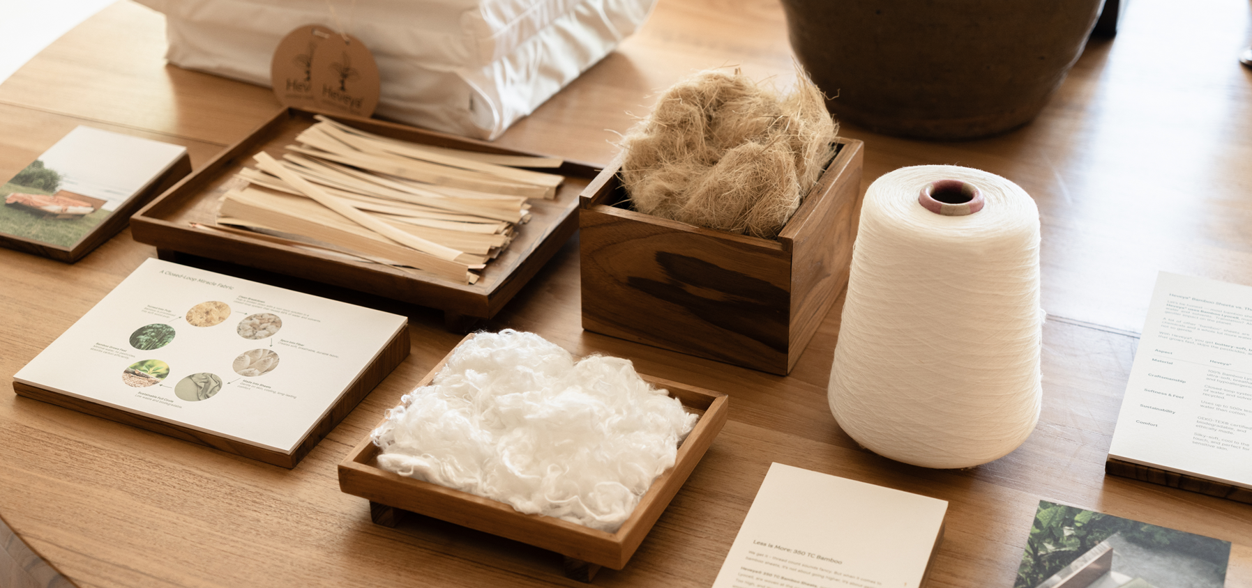 من الغابة إلى النسيج: رحلة الخيزران الليوسيل الخيزران