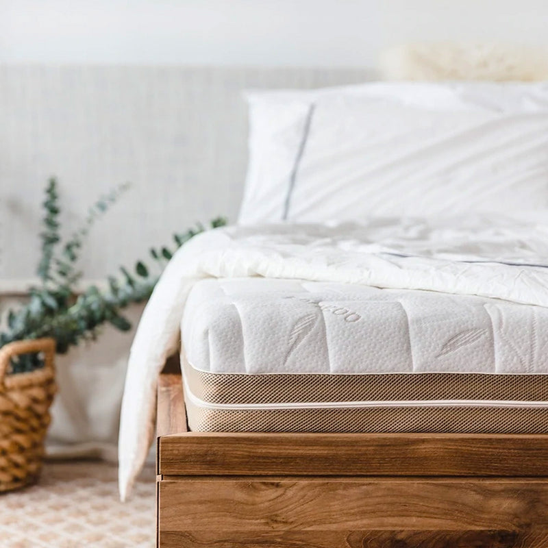 فراش هيفيا® العضوي اللاتكس l