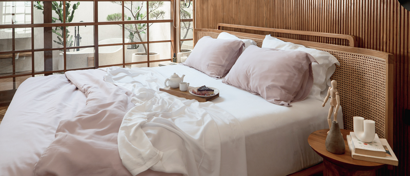 دليل الخيزران: كل ما تحتاج إلى معرفته