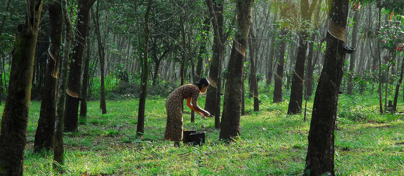 دليلك لعيش حياة أكثر استدامة في المنزل في عام 2025