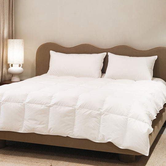 لحاف هيڤيا® لحاف الإوز العضوي من الأسفل