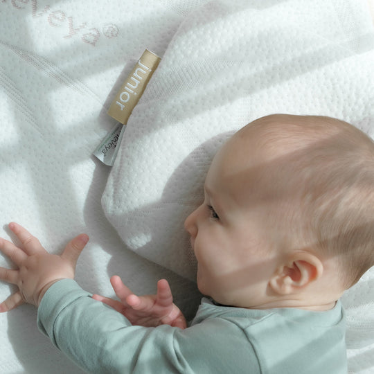 وسادة هيفيا®الدونات الصغيرة